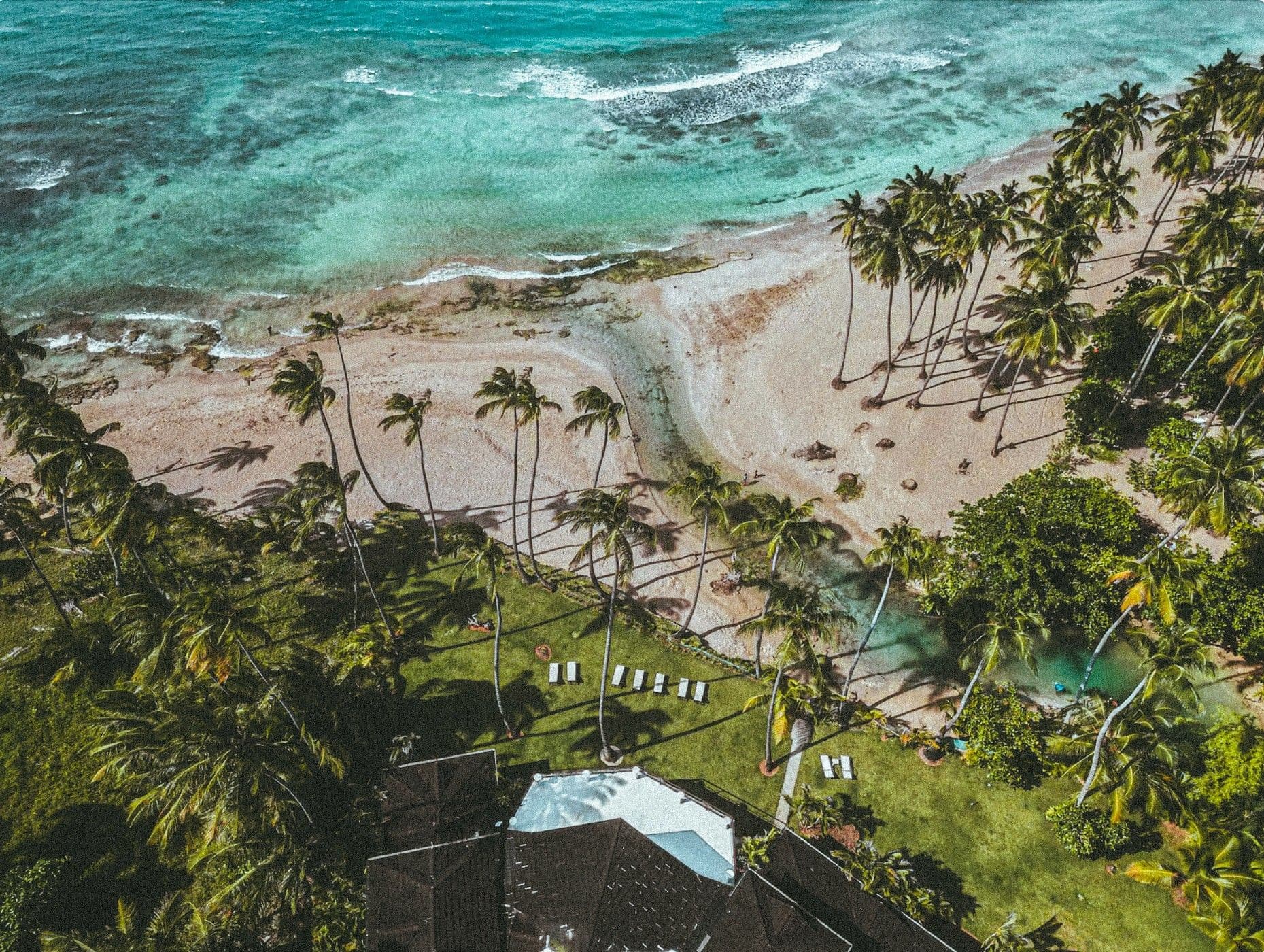 Vue aérienne d'une plage de cocotiers